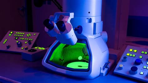Microscopy, size and magnification (CCEA) Magnification .